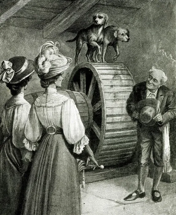 Framed Print : Churning Butter, Dog Wheel, Isle of Capri, Italy Framed Print : Churning Butter, Dog Wheel, Isle of Capri, Italy