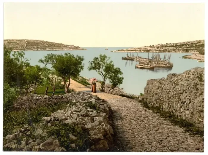 Framed Print : Cigale, Istria, Austro-Hungary Framed Print : Cigale, Istria, Austro-Hungary