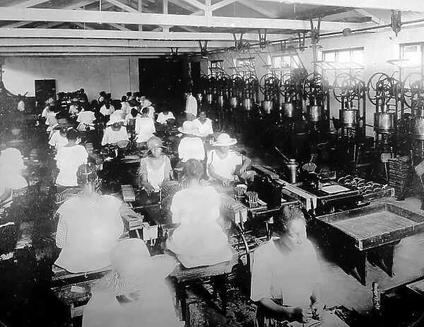 Cigar factory, Kingston, Jamaica, early 1900s