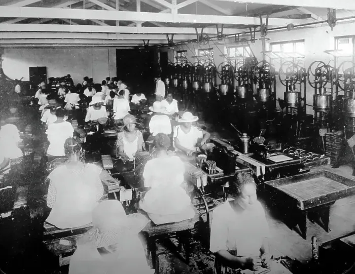 Framed Print : Cigar factory, Kingston, Jamaica, early 1900s Framed Print : Cigar factory, Kingston, Jamaica, early 1900s