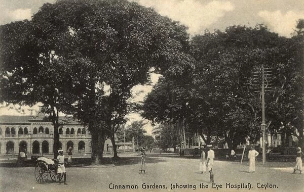 Cinnamon Gardens, Colombo, Ceylon (Sri Lanka)