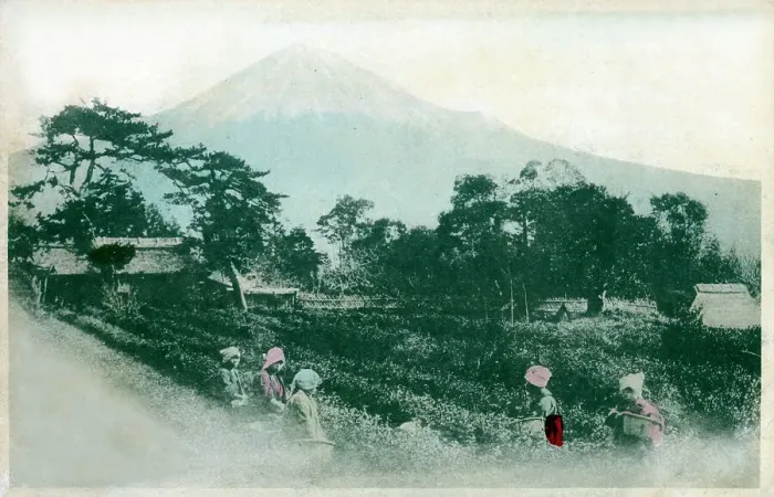 Framed Print : Japan - Date: circa 1910s Framed Print : Japan - Date: circa 1910s