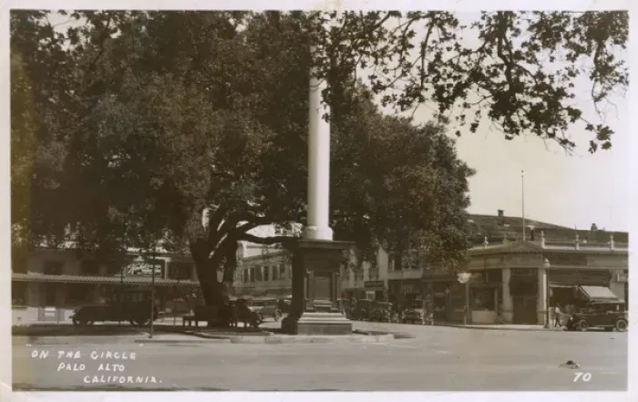 Framed Print : On the Circle, Palo Alto, Santa Clara, California, USA Framed Print : On the Circle, Palo Alto, Santa Clara, California, USA