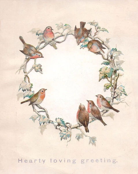 Circle of robins on a Christmas card