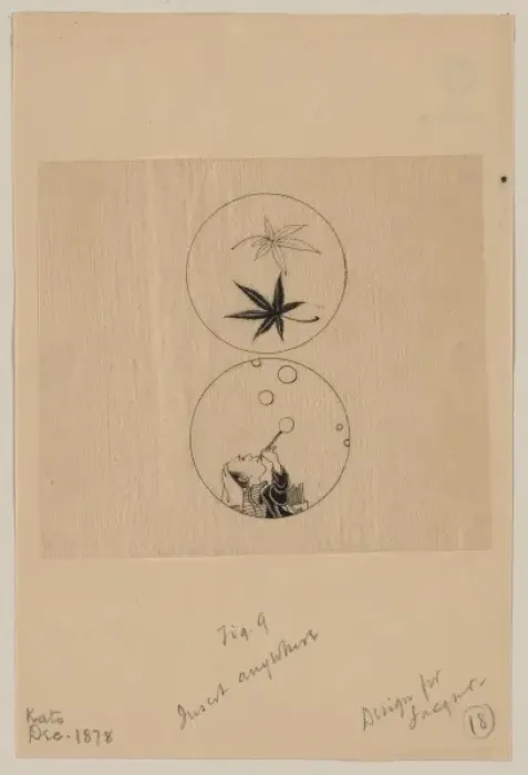 Framed Print : Circular designs, maple leaves in a bubble and a person blow Framed Print : Circular designs, maple leaves in a bubble and a person blow