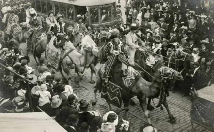 Framed Print : Circus camels on parrade down a street in Washington D. C Framed Print : Circus camels on parrade down a street in Washington D. C