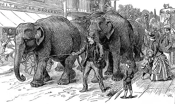 Circus Elephants arriving in an English country town, c. 1886