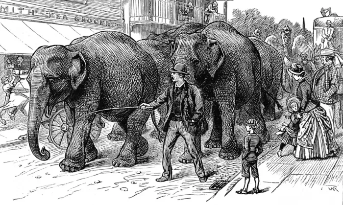 Framed Print : Circus Elephants arriving in an English country town, c. 1886 Framed Print : Circus Elephants arriving in an English country town, c. 1886