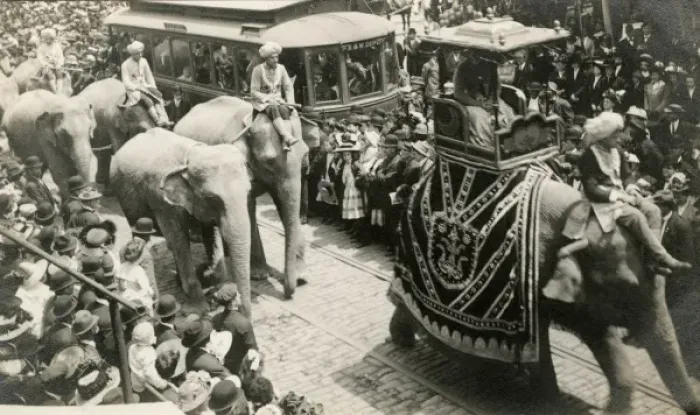 Framed Print : Circus elephants on parrade down a street in Washington D. C Framed Print : Circus elephants on parrade down a street in Washington D. C