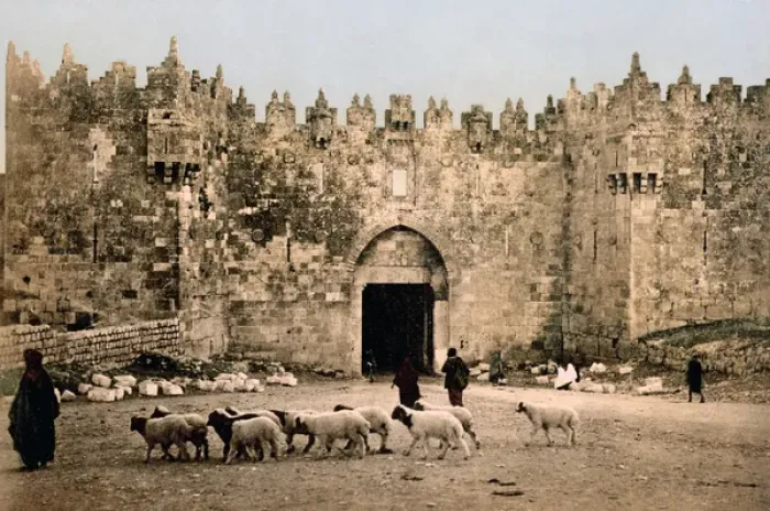 Framed Print : City walls and flock of sheep, Jerusalem, Palestine, circa 1 Framed Print : City walls and flock of sheep, Jerusalem, Palestine, circa 1