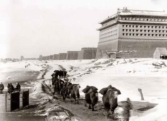 Framed Print : City walls in snow, camels, Peking, Beijing, China c. 1900 Framed Print : City walls in snow, camels, Peking, Beijing, China c. 1900
