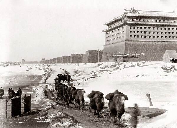 City walls in snow, camels, Peking, Beijing, China c. 1900