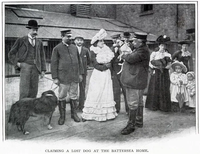 Framed Print : Claiming a Lost Dog at the Battersea Home Framed Print : Claiming a Lost Dog at the Battersea Home