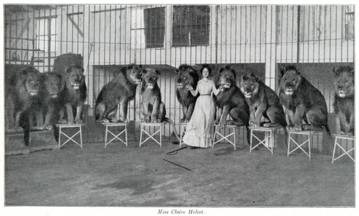 Framed Print : Claire Heliot and her performing lions 1903 Framed Print : Claire Heliot and her performing lions 1903