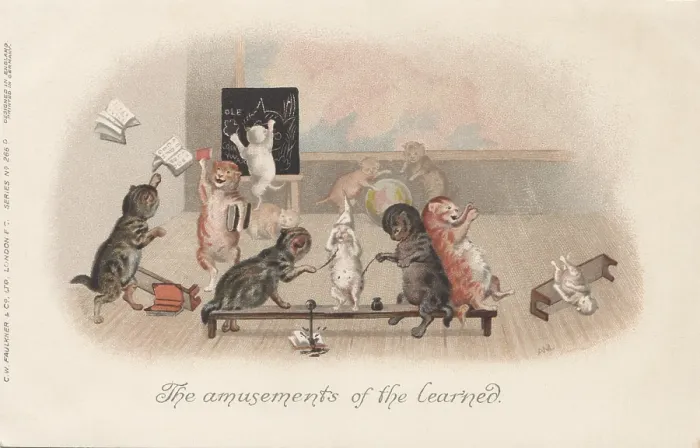Framed Print : Classroom Cats Framed Print : Classroom Cats