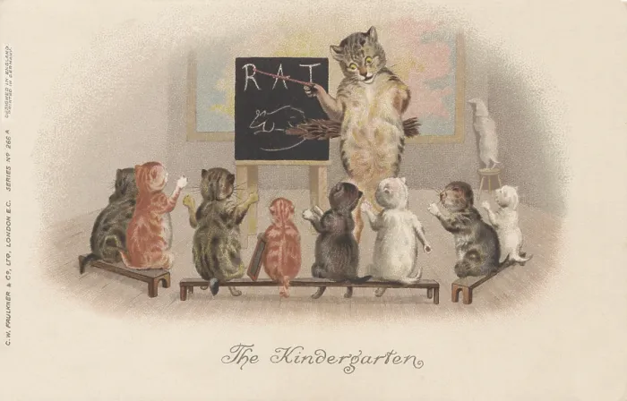 Framed Print : Classroom Cats Framed Print : Classroom Cats