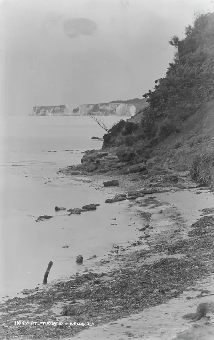 Framed Print : Cliffs at Studland Bay Framed Print : Cliffs at Studland Bay