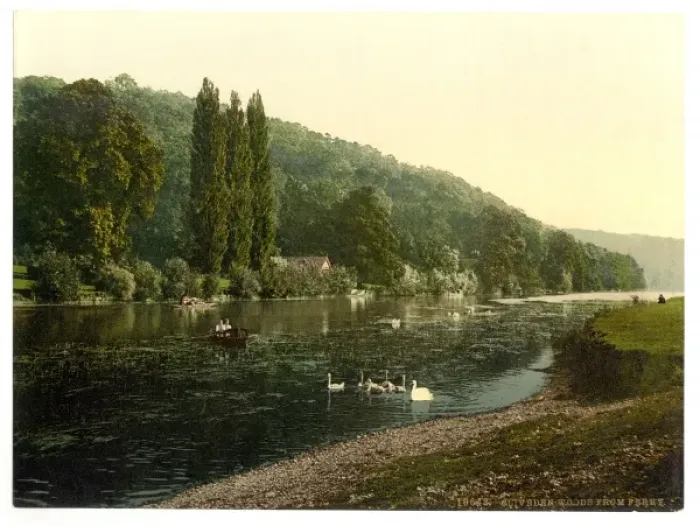 Framed Print : Cliveden Woods, from ferry, London and suburbs, England Framed Print : Cliveden Woods, from ferry, London and suburbs, England