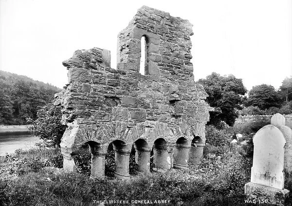 The Cloisters, Donegal Abbey