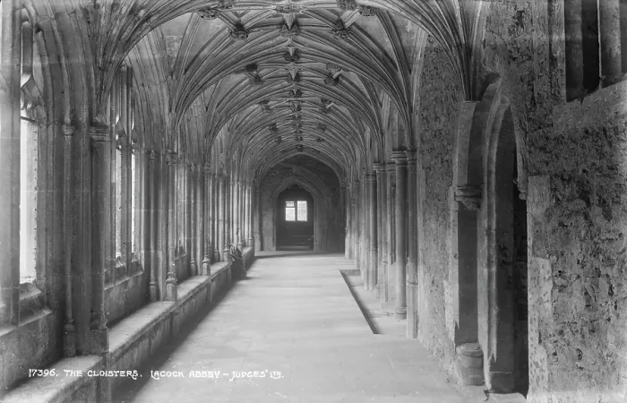 Framed Print : The Cloisters at Lacock Abbey Framed Print : The Cloisters at Lacock Abbey