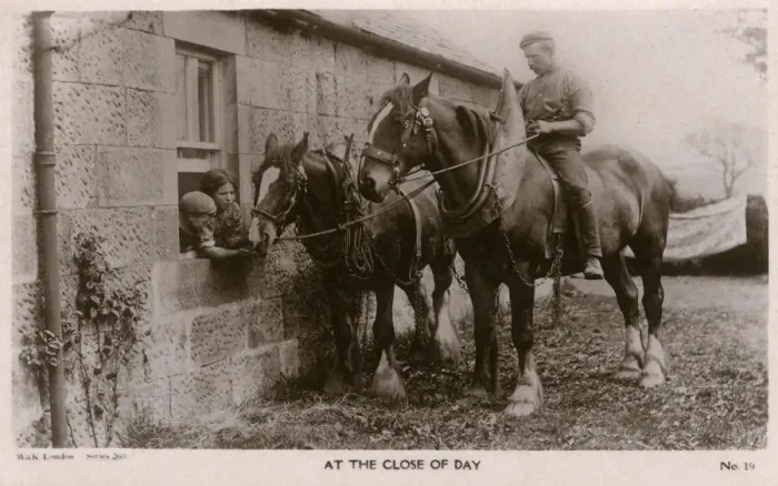 Framed Print : At the Close of the Day - Farm Horses fed by the children Framed Print : At the Close of the Day - Farm Horses fed by the children