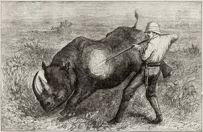 Framed Print : A close shot in the African veldt. Date: 1885 Framed Print : A close shot in the African veldt. Date: 1885