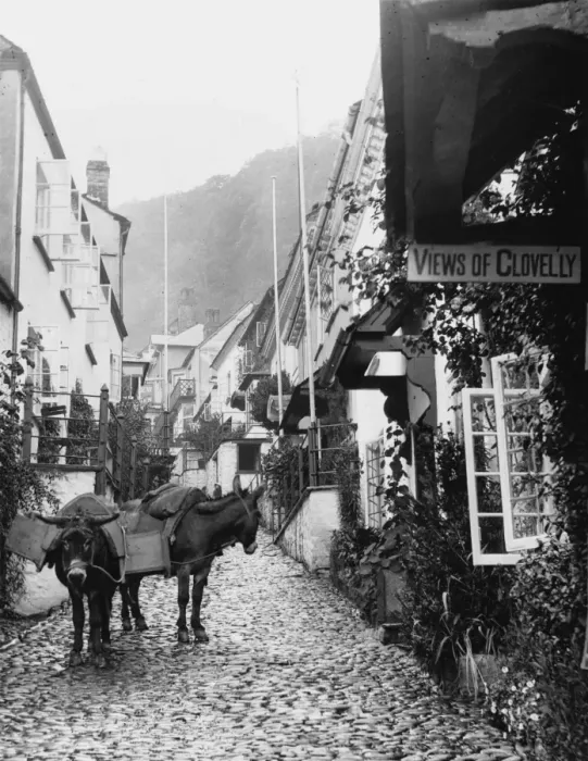 Framed Print : CLOVELLY. Donkeys in the steep, narrow main street of Clovelly, Devon Framed Print : CLOVELLY. Donkeys in the steep, narrow main street of Clovelly, Devon