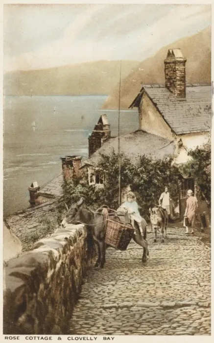 Framed Print : Clovelly, Cornwall - Donkey on the cobbled path Framed Print : Clovelly, Cornwall - Donkey on the cobbled path