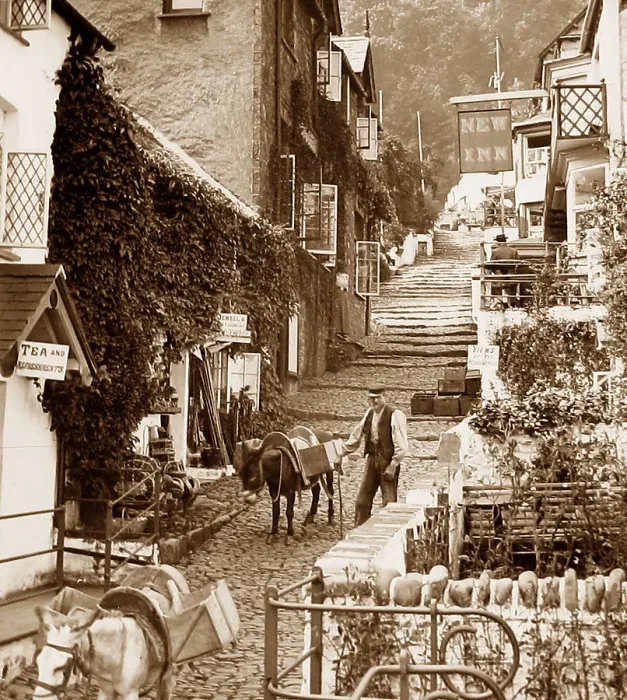 Framed Print : Clovelly donkey - Victorian period Framed Print : Clovelly donkey - Victorian period