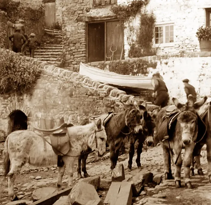 Framed Print : Clovelly donkeys Framed Print : Clovelly donkeys