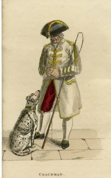 Framed Print : Coachmans Dalmatian Framed Print : Coachmans Dalmatian