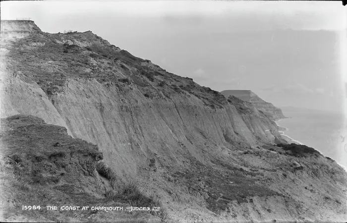 Framed Print : The Coast at Charmouth Framed Print : The Coast at Charmouth