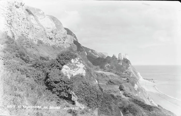 Framed Print : Coastal Cliffs at Branscombe Framed Print : Coastal Cliffs at Branscombe