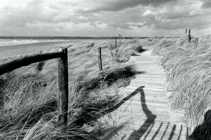 Framed Print : Coastal path in West Sussex Framed Print : Coastal path in West Sussex