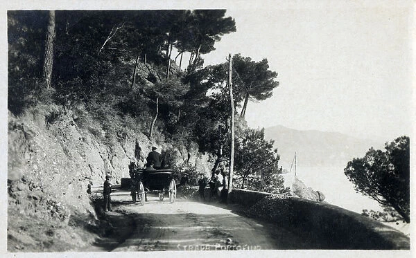 Coastal road near Portofino, Italy