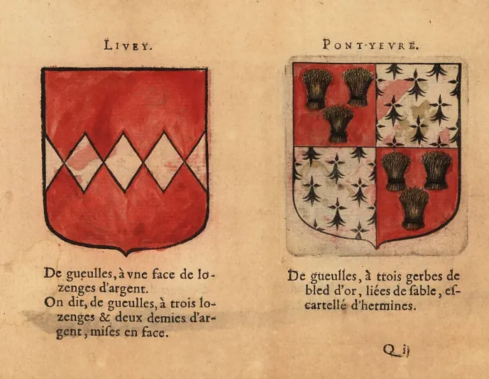 Framed Print : Coat of arms of the Counts of Livey and Pont-Yevre Framed Print : Coat of arms of the Counts of Livey and Pont-Yevre