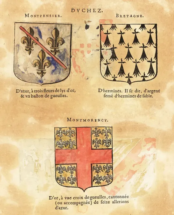 Framed Print : Coat of arms of the Duchy of Montpensier, Brittany and Montmoren Framed Print : Coat of arms of the Duchy of Montpensier, Brittany and Montmoren