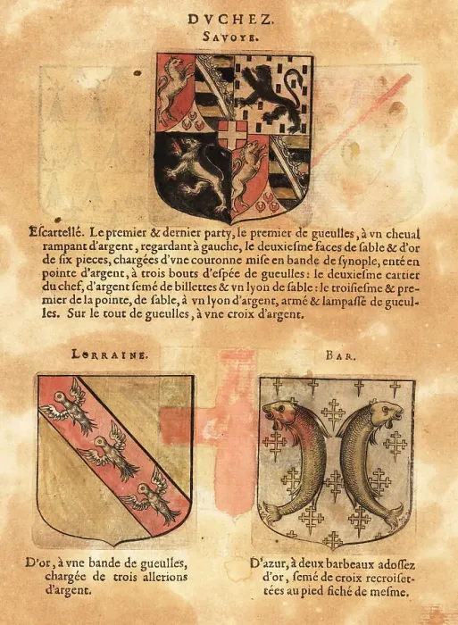 Framed Print : Coat of arms of the Duchy of Savoy with quartered arms with horses and lions Framed Print : Coat of arms of the Duchy of Savoy with quartered arms with horses and lions