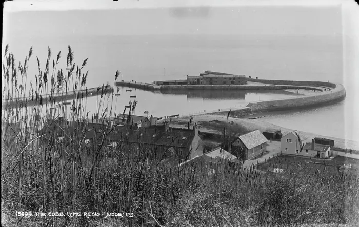 Framed Print : The Cobb, Lyme Regis Framed Print : The Cobb, Lyme Regis