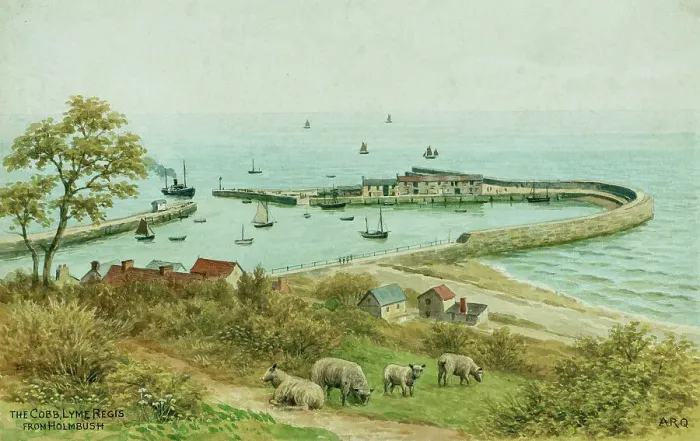 Framed Print : The Cobb, Lyme Regis, Dorset, viewed from Holmbush Framed Print : The Cobb, Lyme Regis, Dorset, viewed from Holmbush