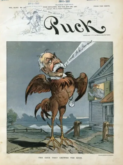 Framed Print : The cock that crowed too soon Framed Print : The cock that crowed too soon
