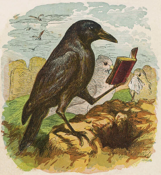 Cock Robin 1. After the unfortunate death of Cock Robin, the Rook reads the burial service