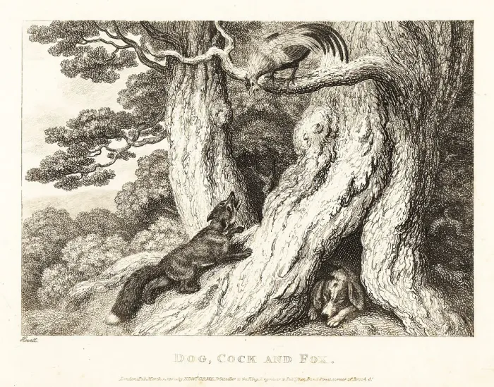 Framed Print : A cock in a tree outwits a fox, while a dog sleeps Framed Print : A cock in a tree outwits a fox, while a dog sleeps
