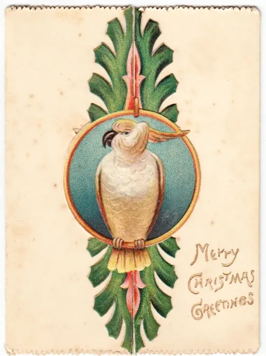 Framed Print : Cockatoo on a Christmas card Framed Print : Cockatoo on a Christmas card