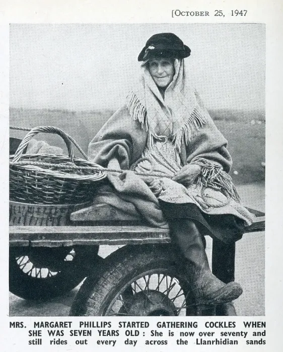Framed Print : The Cockle Women of Gower: An Ancient Industry on the Llanrhidian Sands, South Wales