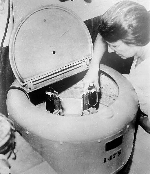 Cocoa Tester. A woman uses a shaker to test the quality of a batch of cocoa