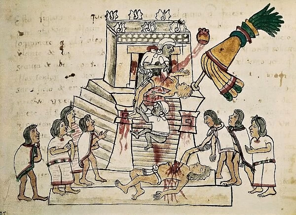 Codex Magliabecchi