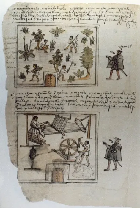 Framed Print : Codex Osuna (Ce Osuna). 16th c. Manuscrit Framed Print : Codex Osuna (Ce Osuna). 16th c. Manuscrit