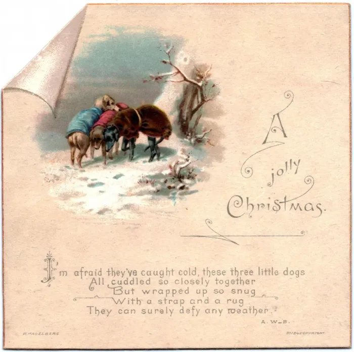 Framed Print : Three cold dogs in the snow on a Christmas card Framed Print : Three cold dogs in the snow on a Christmas card