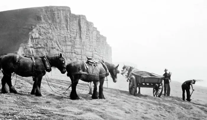 Framed Print : Collecting gravel, Bridport Framed Print : Collecting gravel, Bridport